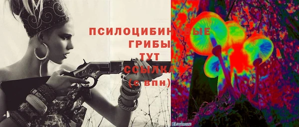 гидра Майский