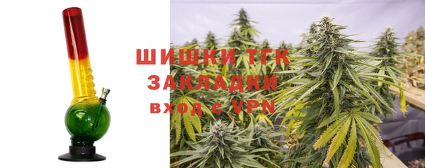гидра Майский