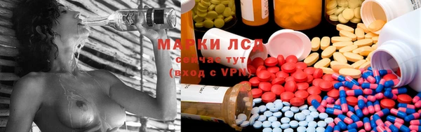 СК Магадан