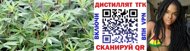 Дистиллят ТГК THC oil  Ахтырский 