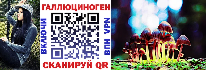 купить  цена  Ахтырский  Галлюциногенные грибы мицелий 